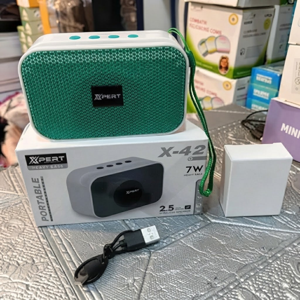 Wireless Portable BT Speaker