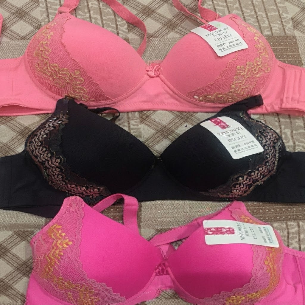 Silk Padded Bra with Embroidery