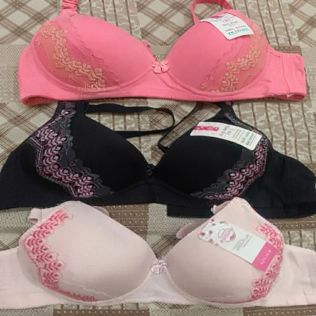 Silk Padded Bra with Embroidery