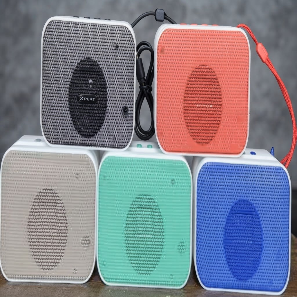 Wireless Portable BT Speaker