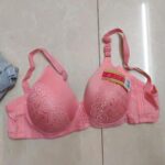 Silk Padded Bra with Embroidery for Daily Wear & Special Events