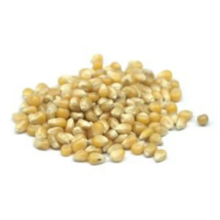 Ponam Pop Corn 500g – Premium Quality Popcorn Kernels for Home & Movie Time Snacking