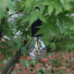 USB Type-C Rechargeable Straight LED Camping Bulb Light – Portable Hanging Tent & Emergency Multi-Use Bulb with Hook for Outdoor, Home, Car & Load-Shedding - Image 8
