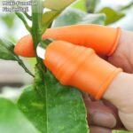 GullPlaza.pk Multifunction Finger Thumb Cutter – Kitchen Vegetable Cutter & Garden Harvesting Picking Tool with Finger Blade - Image 2